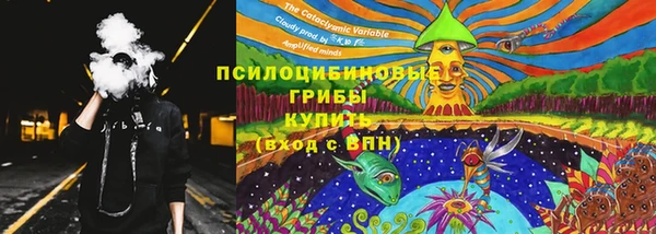 дмт Гусь-Хрустальный